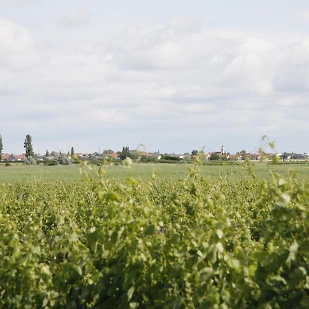 Pension & Weingut Storchenblick Illmitz Extérieur photo